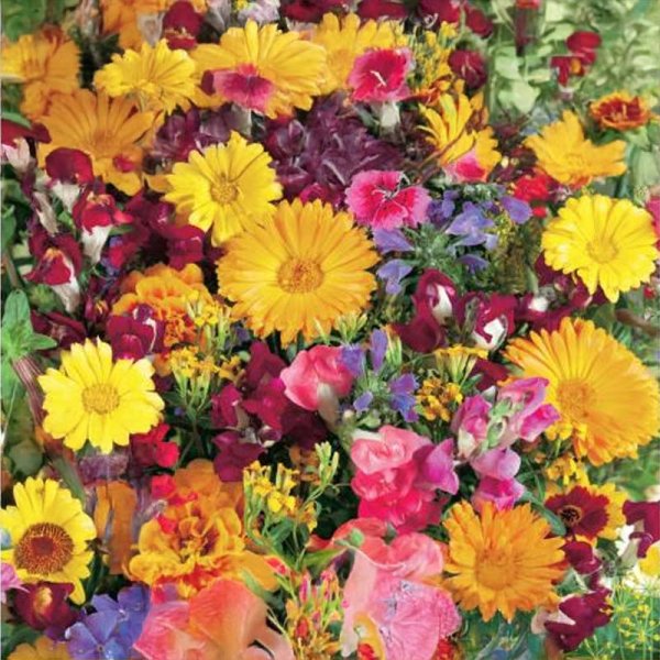 Fragrant Flower Mix