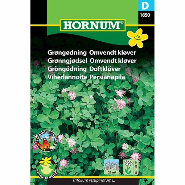 Green Manure Fragrant Clover