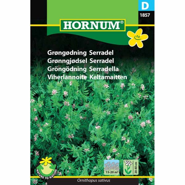 Green Manure 'Serradella'