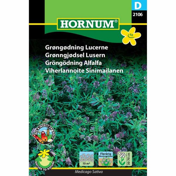 Green Manure Alfalfa