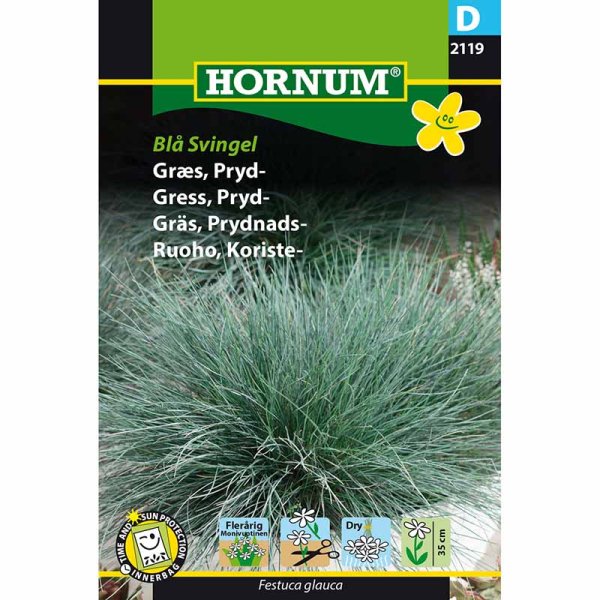 Ornamental Grass Blue Fescue