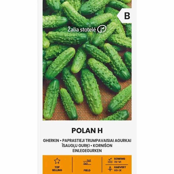 Outdoor Cucumber 'Polan' F1
