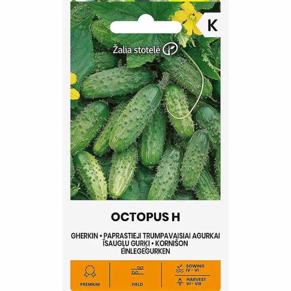 Outdoor Cucumber 'Octopus' F1