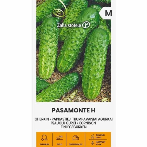 Outdoor Cucumber 'Pasamonte' F1