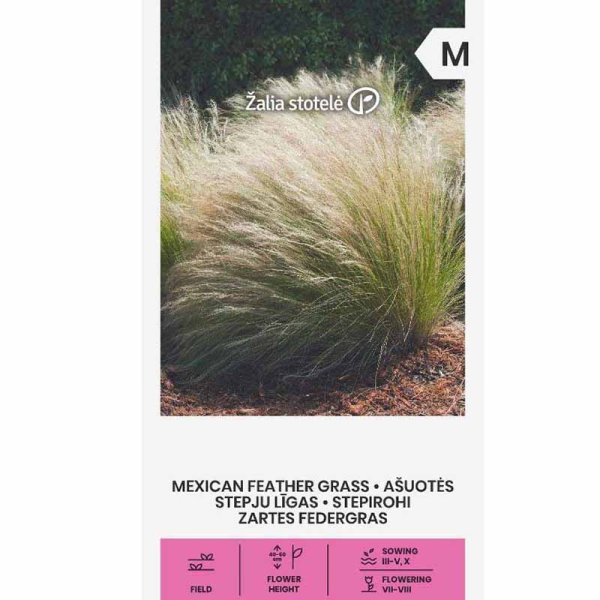 Mexican Feather Grass