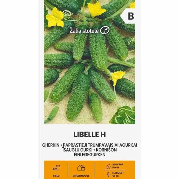 Outdoor Cucumber 'Libelle' F1