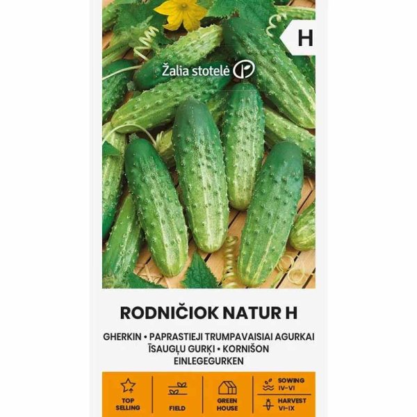 Outdoor Cucumber 'Rodniciok natur' F1