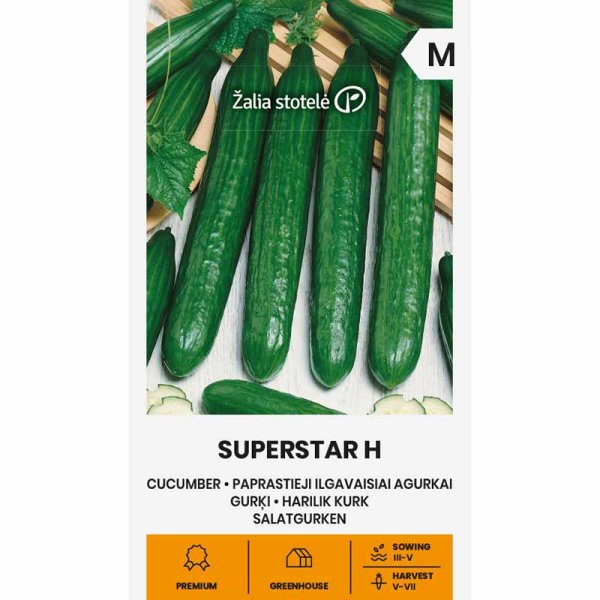 Cucumber 'Superstar' h