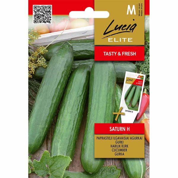 Slicing Cucumber 'Saturn' F1