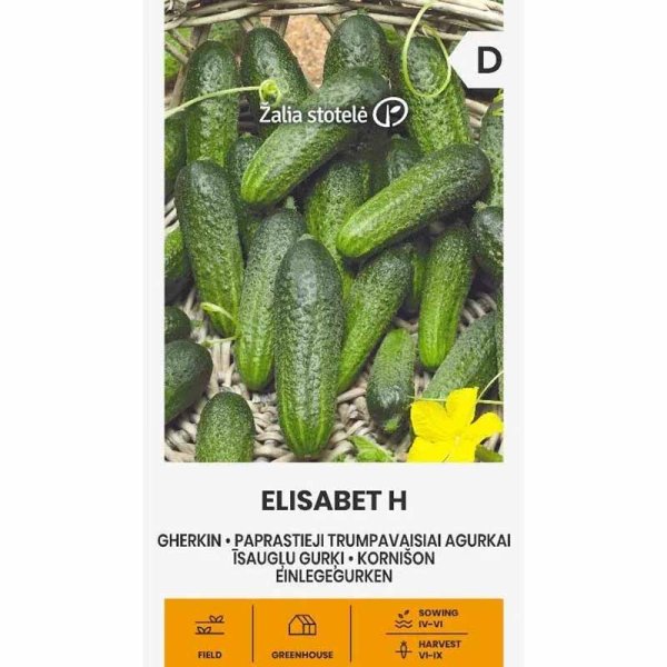 Outdoor Cucumber 'Elisabet' F1