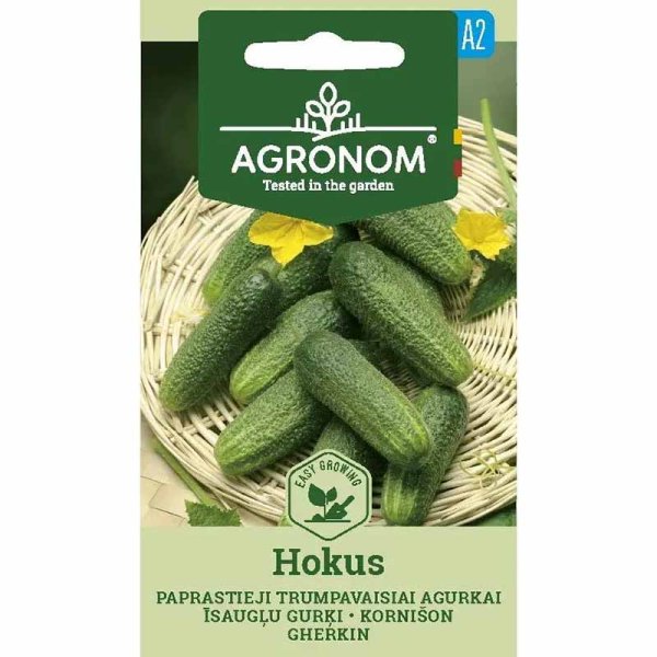 Cucumber 'Hokus'