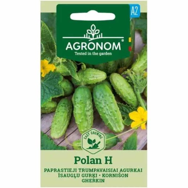 Cucumber 'Polan' F1
