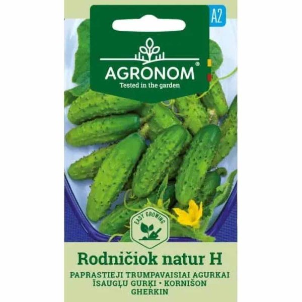 Outdoor Cucumber 'Rodničiok Natur' F1