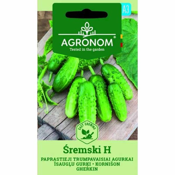 Cucumber 'Śremski' F1