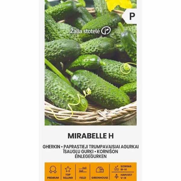 Outdoor Cucumber 'Mirabelle' F1