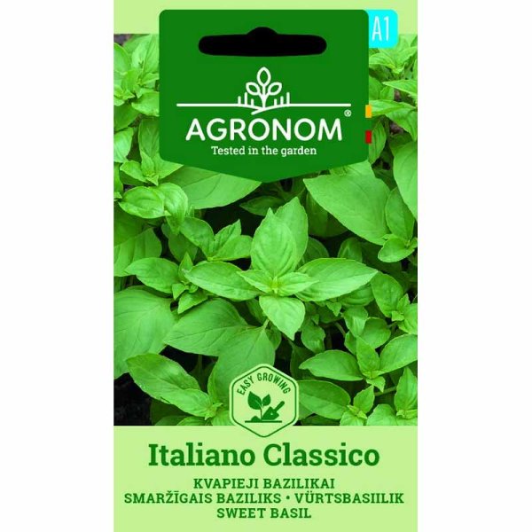 Basil 'Italiano classico'