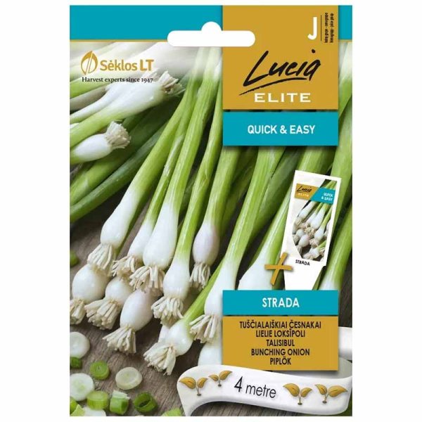 Spring Onion 'Bunching strada'