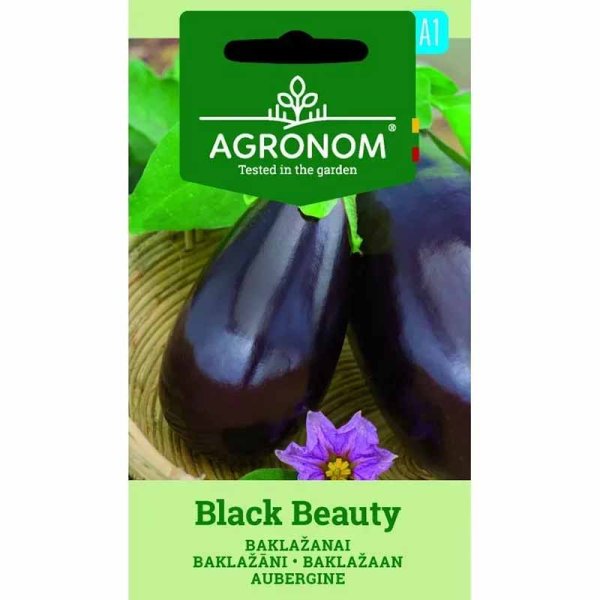 Eggplant 'Black beuty'