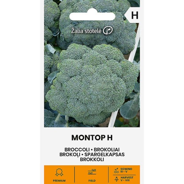 Broccoli 'Montop' H
