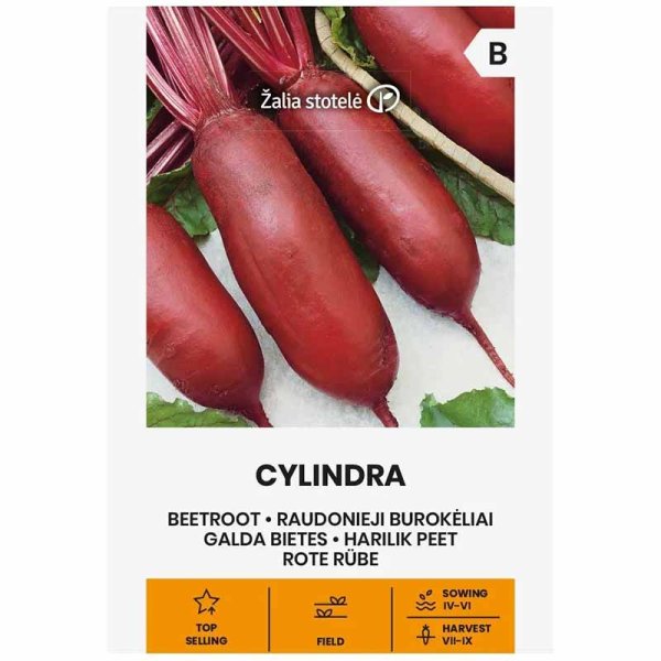 Beetroot 'Cylindra'