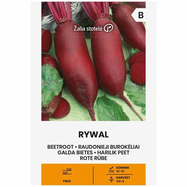 Beetroot 'Rywal'