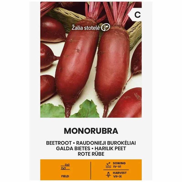 Beetroot 'Monorubra'
