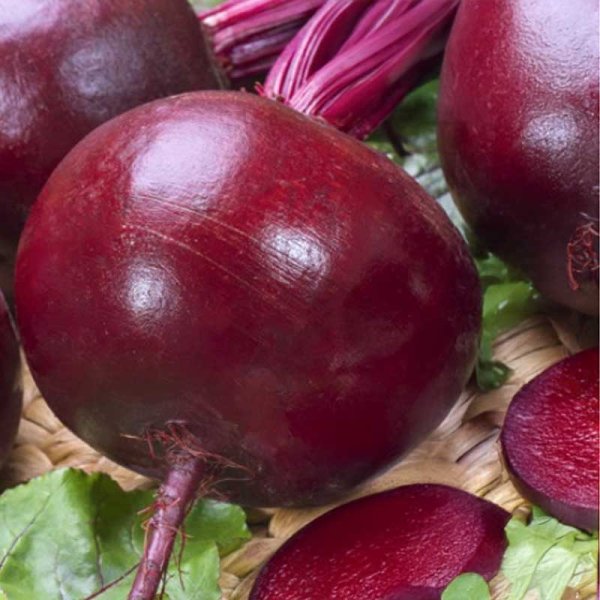Beetroot 'Jolie' F1