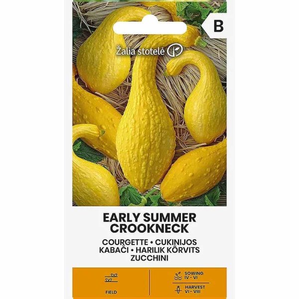 Squash 'Early summer crokneck'