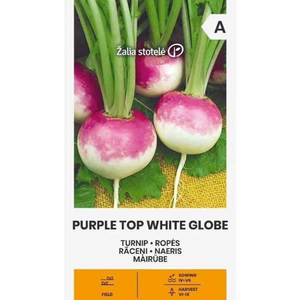 Turnip 'Purple Top White Globe'