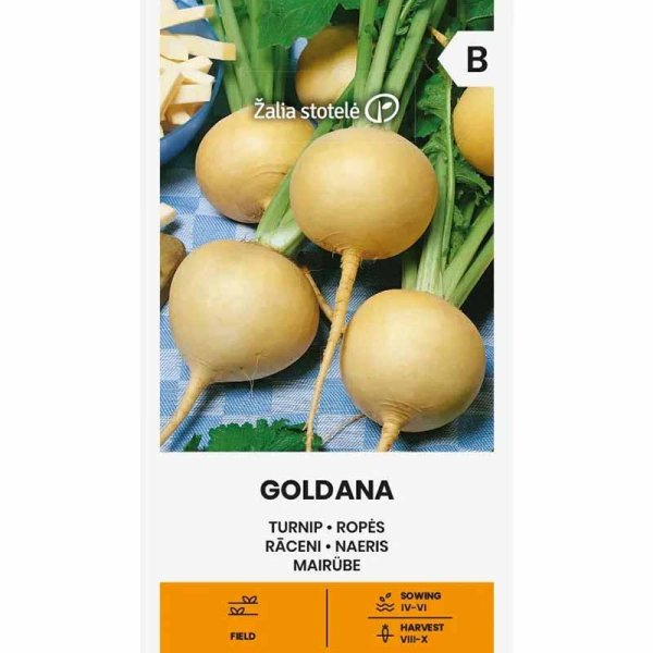 Turnip 'Goldana'