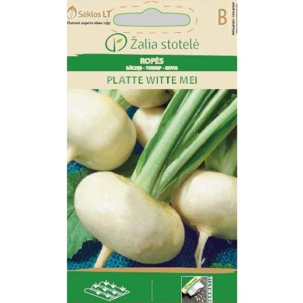 Turnip 'Platte Witte Mei'