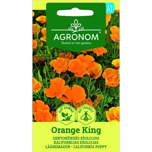 California Poppy 'Orange King'