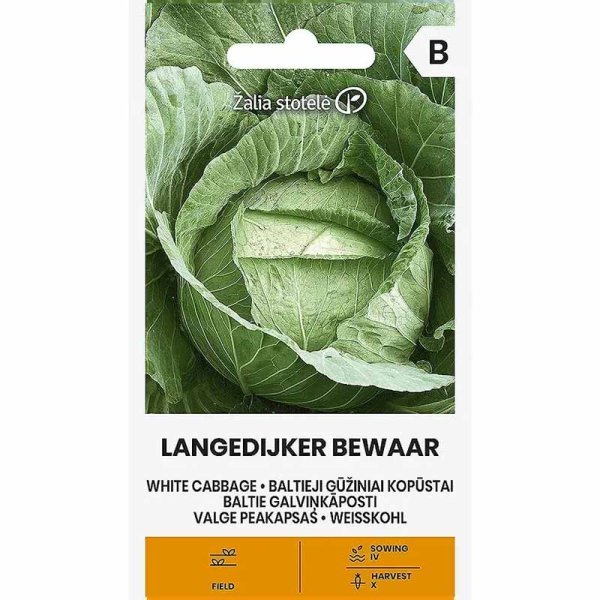 White Cabbage 'Langedijker Bewaar'