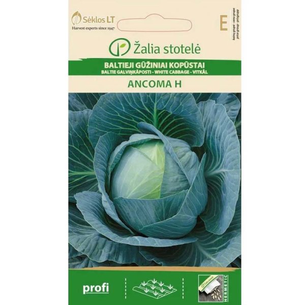 White Cabbage 'Ancoma' H