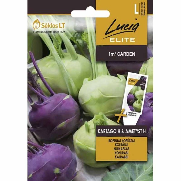 Kohlrabi 'Kartago H & Ametyst H'