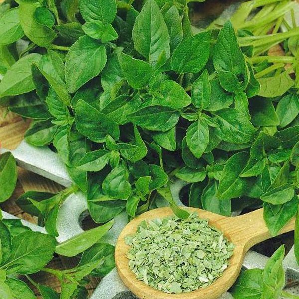 Basil Cinnamon