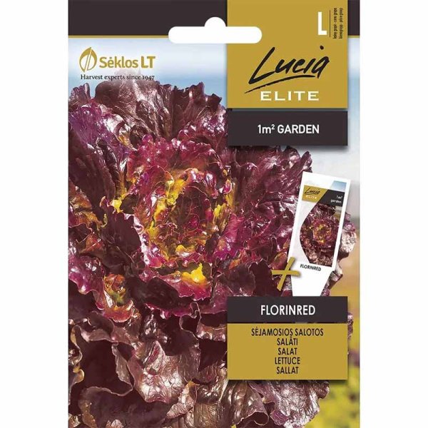 Lettuce 'Florinred'