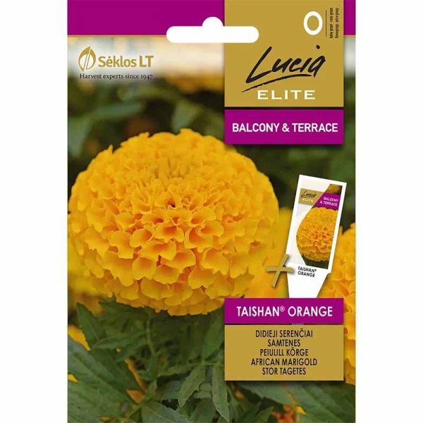 African Marigold 'Taishan® Orange'