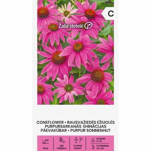 Coneflower