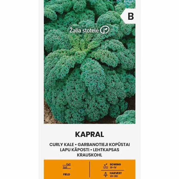 Kale 'Kapral'