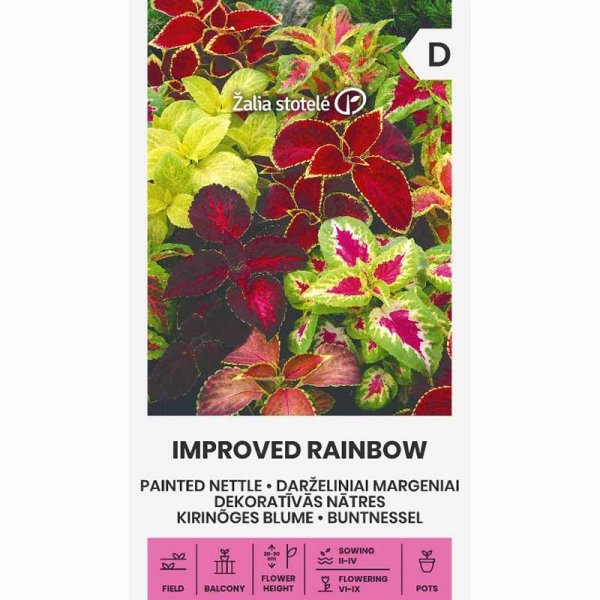 Coleus 'Improved Rainbow'