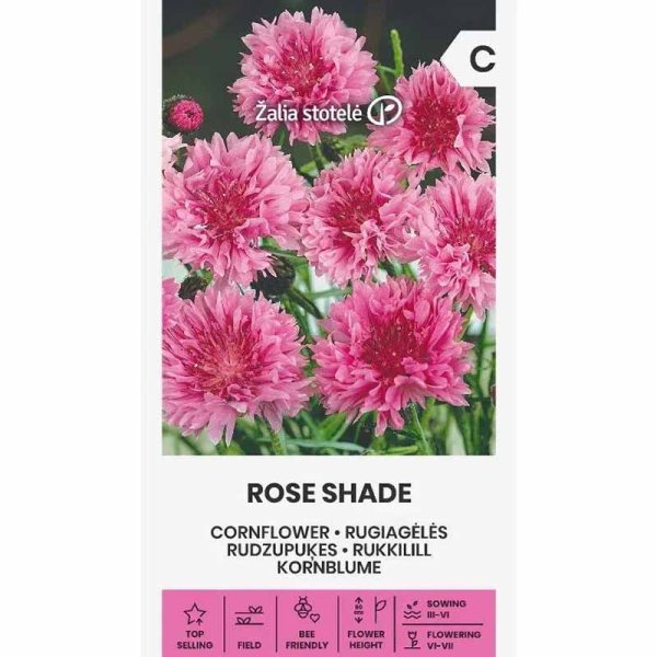 Cornflower 'Rose shade'