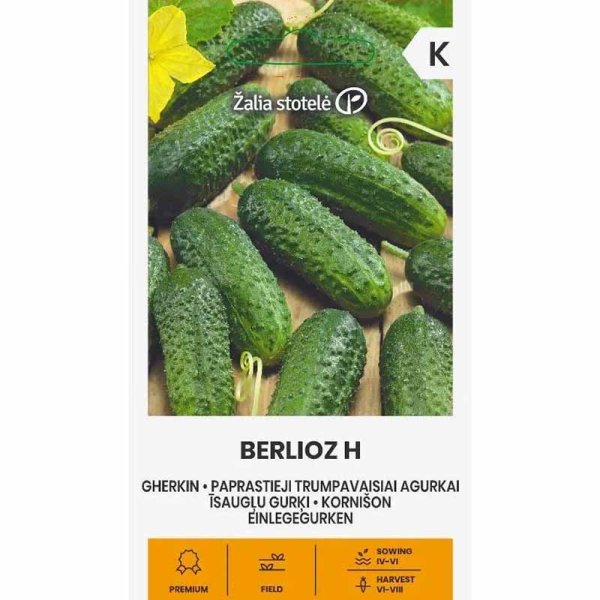 Cucumber 'Berlioz' F1