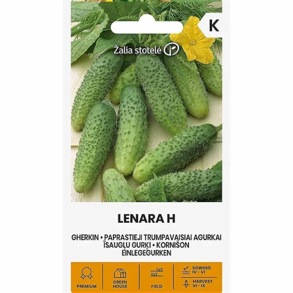 Outdoor Cucumber 'Lenara' F1
