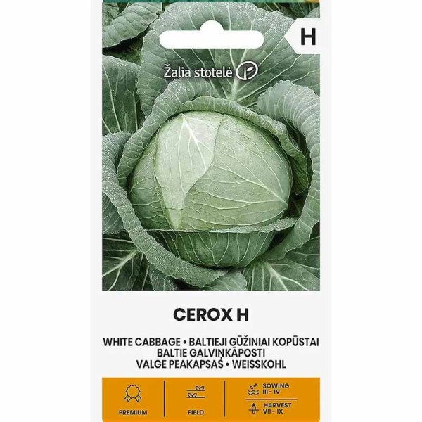 White Cabbage 'Cerox' H
