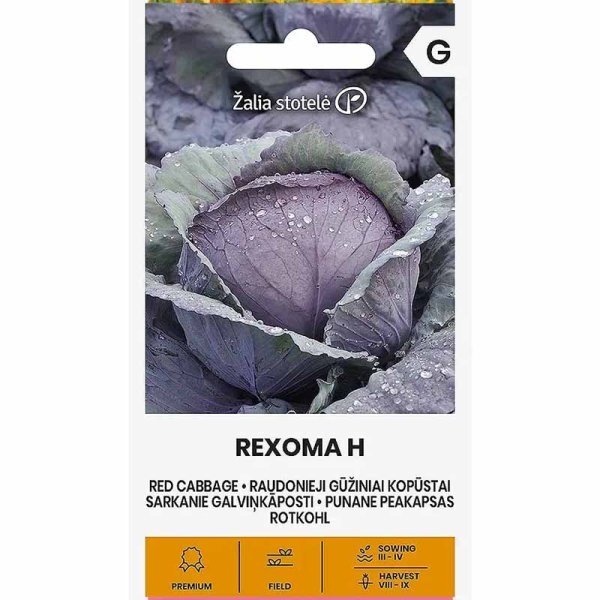 Red Cabbage 'Rexoma' H