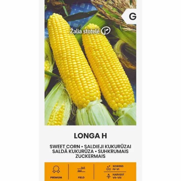 Corn 'Longa' H