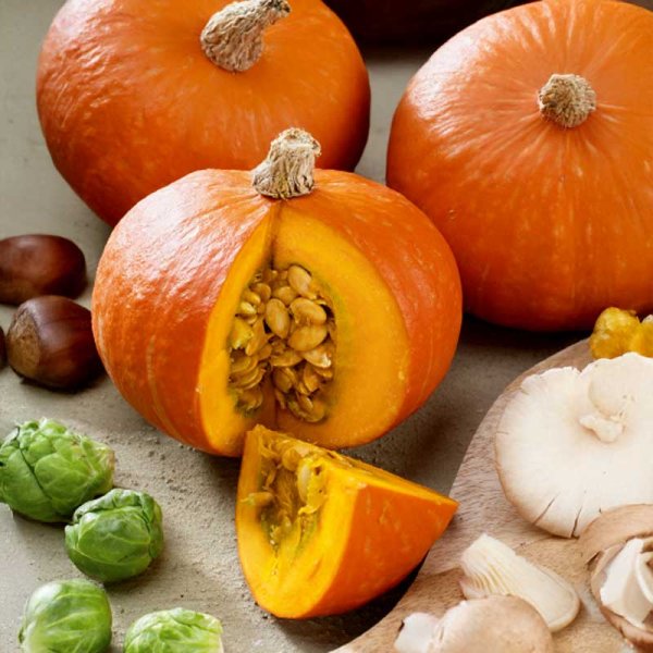 Pumpkin 'Gold nugget'