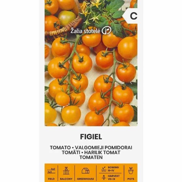 Tomato 'Figiel'
