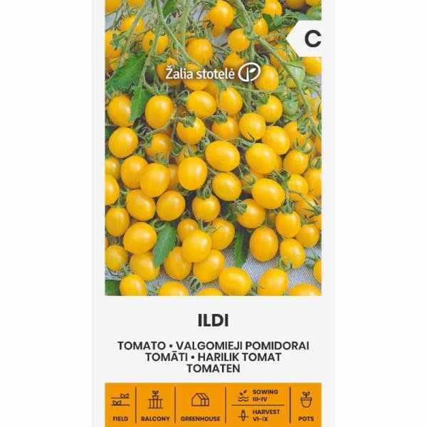 Tomato 'Ildi'